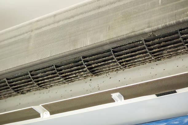 Best Best Air Duct Cleaning Company  in Mount Pleasant, UT